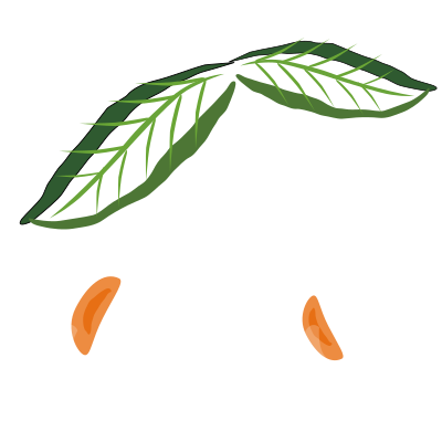 Cherry clipart