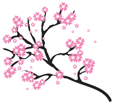 Cherry Blossoms clipart