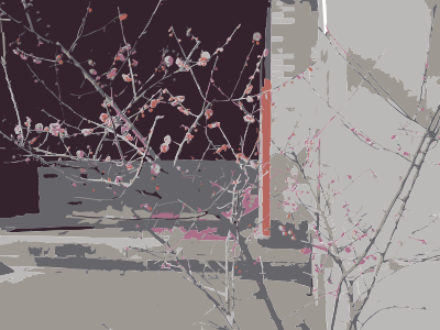 Cherry Blossoms clipart