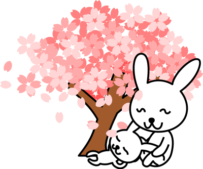 Cherry blossoms rabbit clipart
