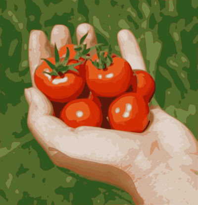 Cherry Tomatoes clipart