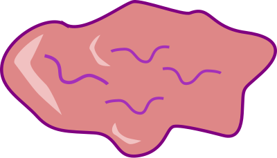 Chewed gum clipart