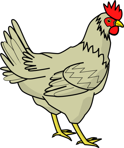 Chicken clipart
