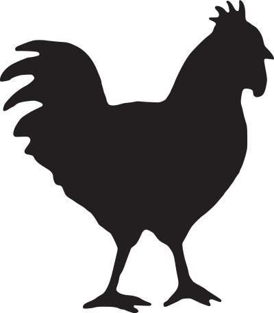 Chicken clipart