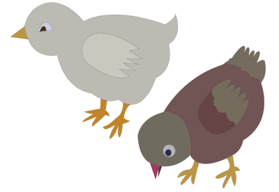 Chickens-002-figure-color clipart