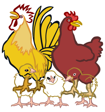 Chickens - coloured clipart