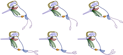 Chim Ruồi Cao Độ clipart