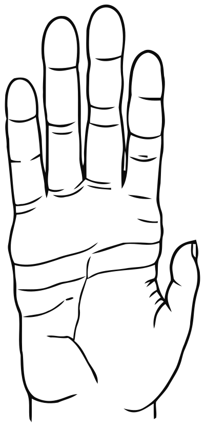Chimpanzee Hand Line Art clipart
