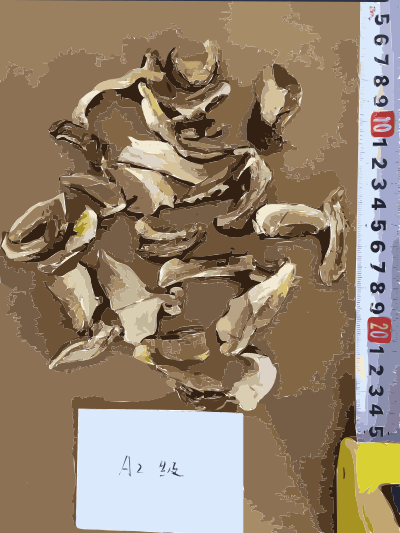 Chinese factory directly supply dry mushroom - Porcini, Shiitake, Champignons 3 clipart