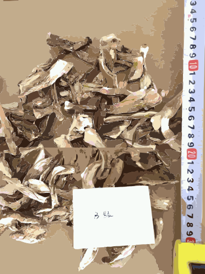 Chinese factory directly supply dry mushroom - Porcini, Shiitake, Champignons 4 clipart