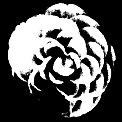 Chinese Flower outlines clipart