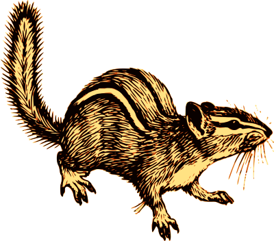 Chipmunk clipart
