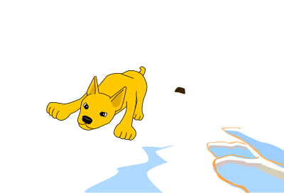 Chó Lông Vàng Ảnh 10 หมาขนทอง ภาพที่ ๑๐ clipart