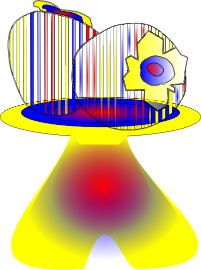 Chontaduro colombiano clipart