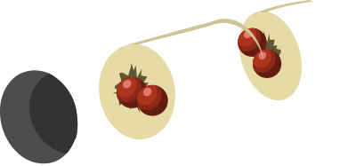 Christmas cracker clipart