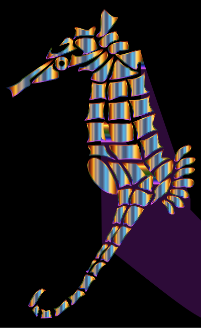 Chromatic Stylized Seahorse Silhouette clipart