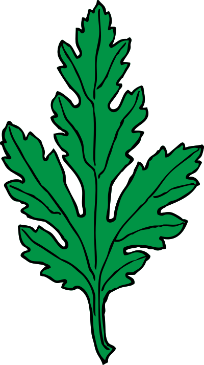 Chrysanthemum leaf clipart