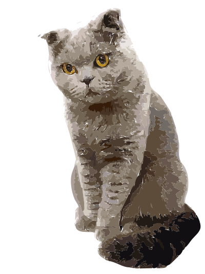 Chucky the Cat clipart