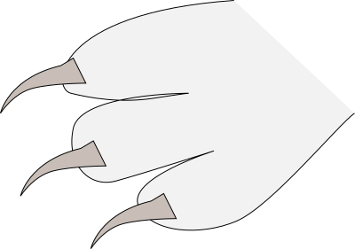 Claws clipart