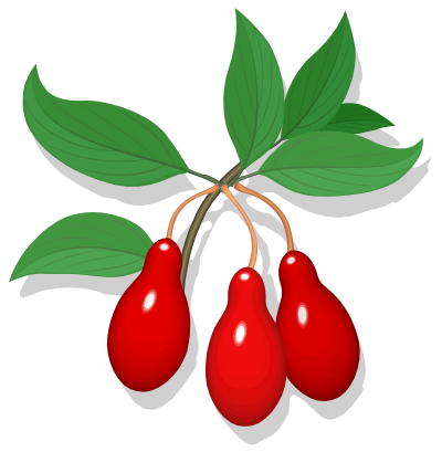Cling fruit clipart