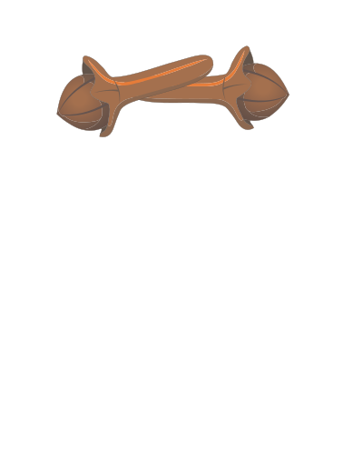 Clove clipart