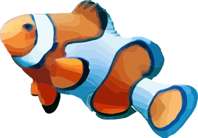 Clownfish clipart