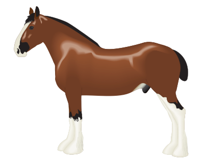 Clydesdale Horse clipart