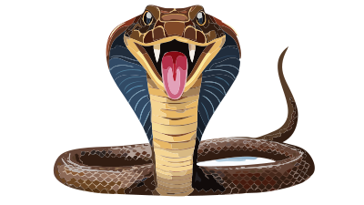 Cobra clipart