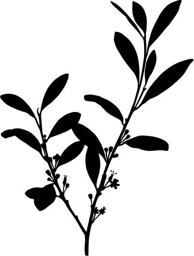 Coca (silhouette) clipart