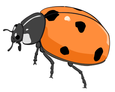 Coccinelle, ladybug clipart