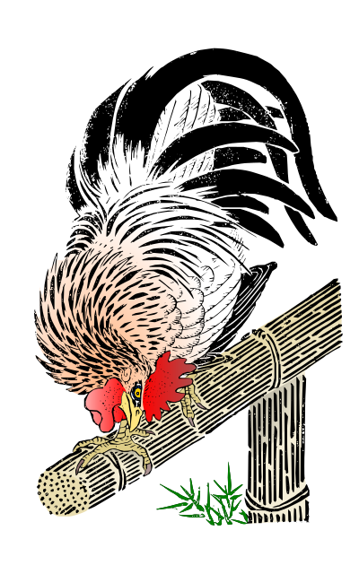 Cock colored clipart