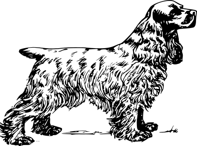 Cocker spaniel clipart