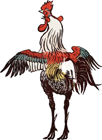Cockeral crowing clipart