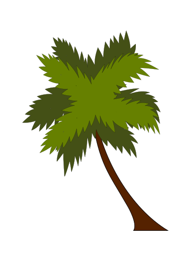 Coco tree clipart