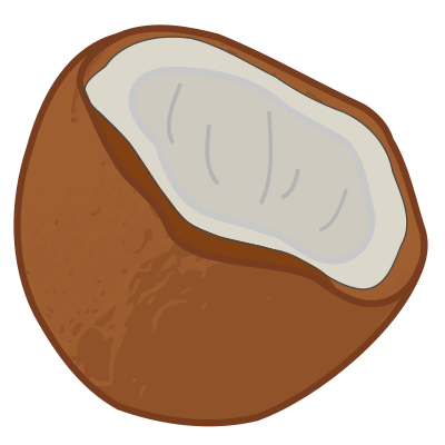 Coconut clipart