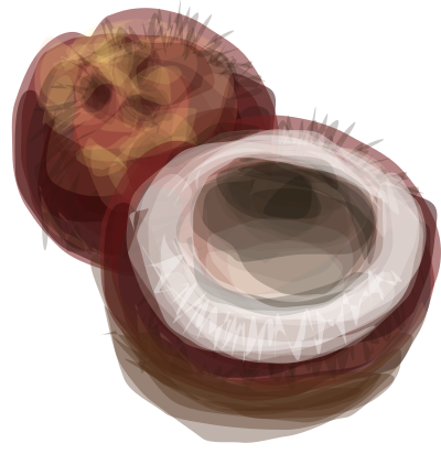 Coconut clipart