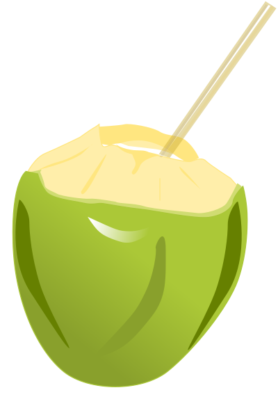 Coconut clipart