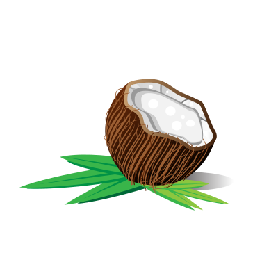 Coconut half clipart