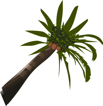 Coconut-palm clipart