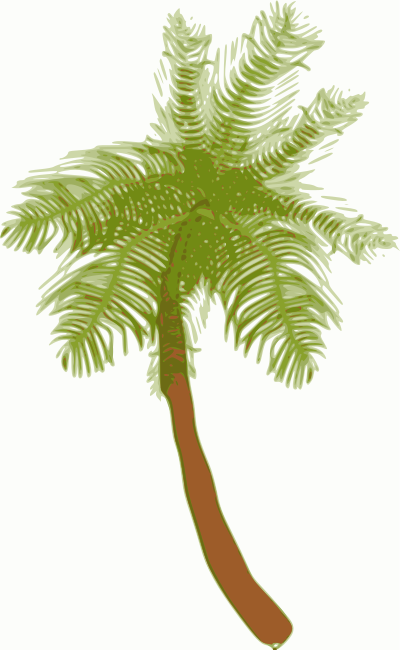 Coconut tree clipart