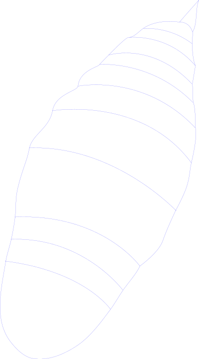 Cocoon clipart
