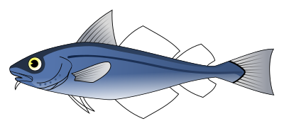 Codfish clipart