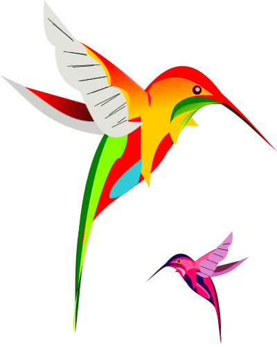 Colibri birds clipart