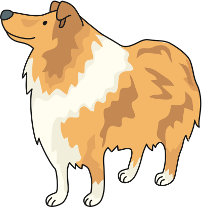Collie clipart