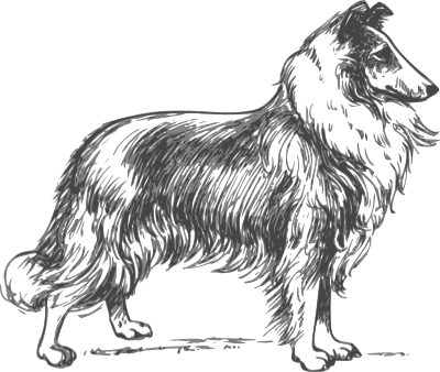 Collie grayscale clipart