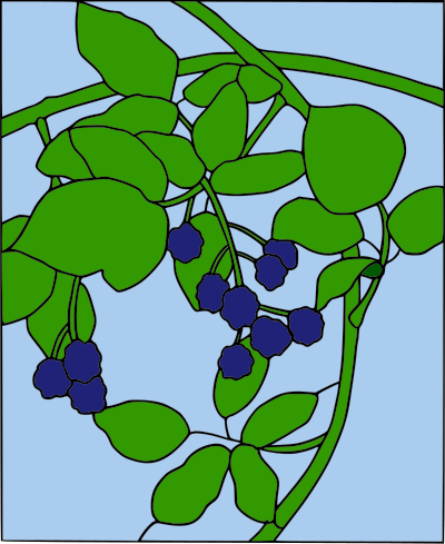 Colored Blackberry motif clipart