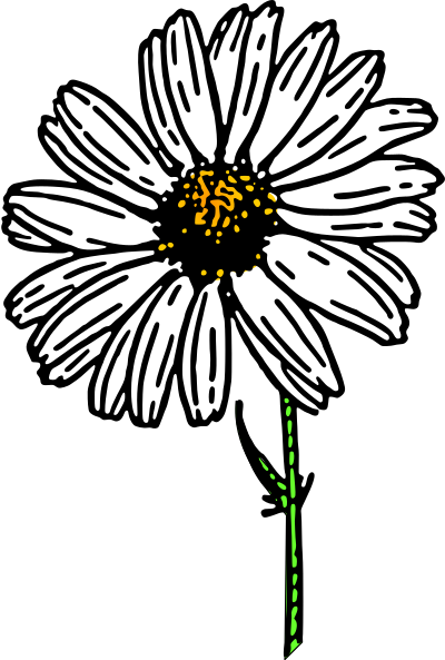 Colored daisy 1 clipart