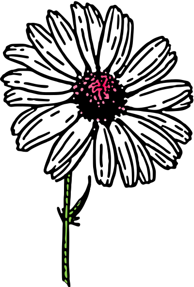 Colored daisy 2 clipart