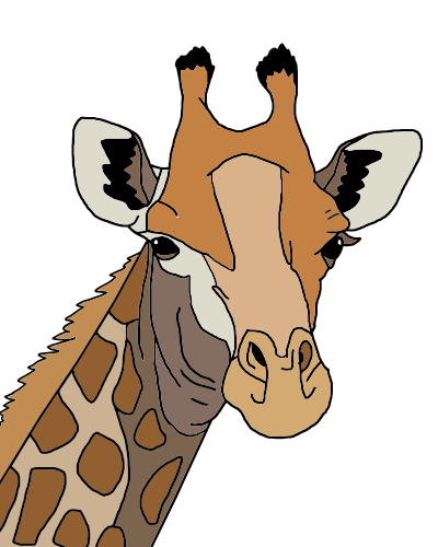 Colored Giraffe clipart