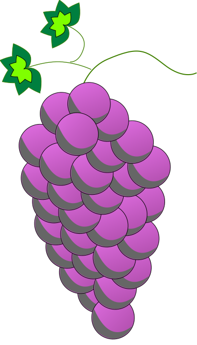 Colored Grapes line art - Purple clipart